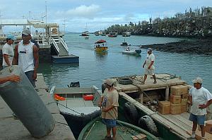 Deep within the harbor of Puetro Ayora, with the island of Santa Fe on the horizon in the far distance.